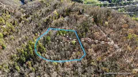 247 Red Hawk Blf, Sylva, NC 28779 photo 5