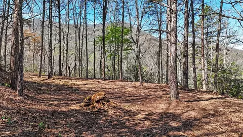 247 Red Hawk Blf, Sylva, NC 28779 photo 25