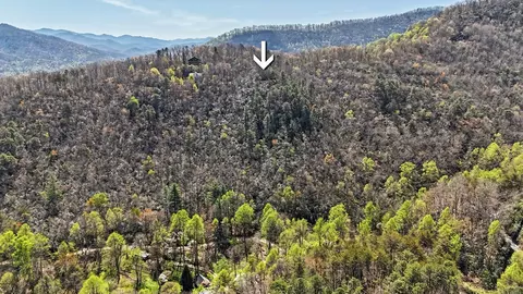 247 Red Hawk Blf, Sylva, NC 28779 photo 20