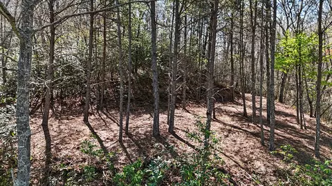 247 Red Hawk Blf, Sylva, NC 28779 photo 24
