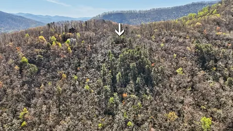 247 Red Hawk Blf, Sylva, NC 28779 photo 21