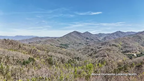 247 Red Hawk Blf, Sylva, NC 28779 photo 27