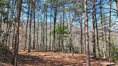 247 Red Hawk Blf, Sylva, NC 28779 photo 26