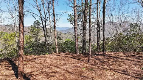 247 Red Hawk Blf, Sylva, NC 28779 photo 3