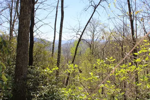 1557 Mountain Laurel Dr, Franklin, NC 28734