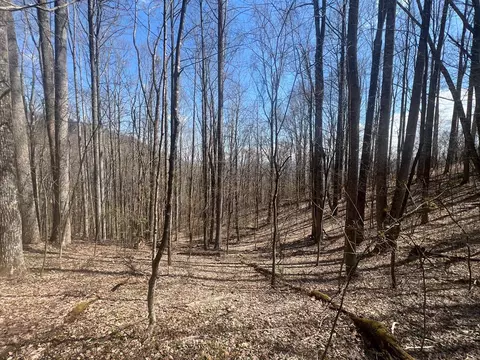 200 Wolverine Ct, Waynesville, NC 28785