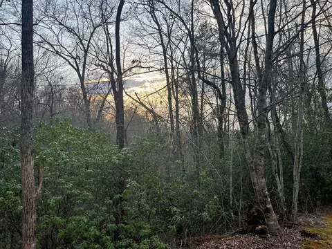 70 Canvasback Ct, Whittier, NC 28789 photo 2