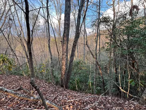 70 Canvasback Ct, Whittier, NC 28789 photo 4