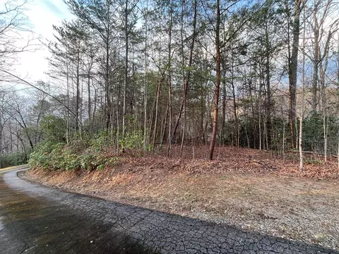 70 Canvasback Ct, Whittier, NC 28789