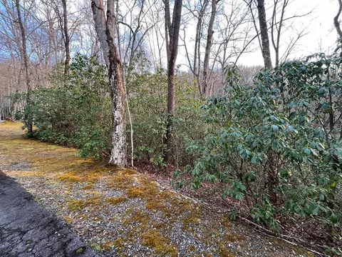 70 Canvasback Ct, Whittier, NC 28789 photo 6
