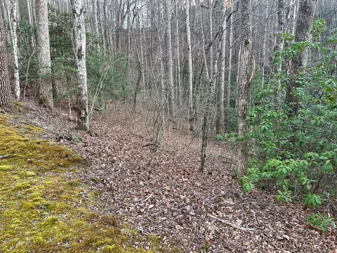 70 Canvasback Ct, Whittier, NC 28789 photo 3