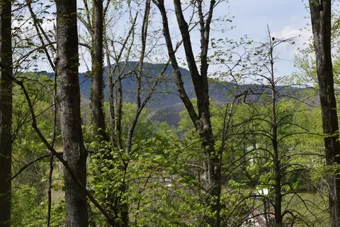 tbd Cabin Flts, Balsam, NC 28707