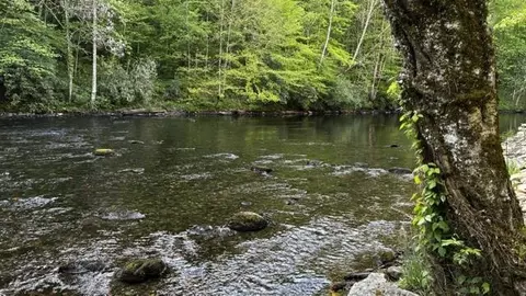 lot14 Mystic River Meadows Way, Bryson City, NC 28713