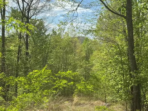 lot24 Falls View Dr, Bryson City, NC 28713