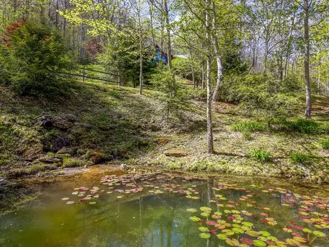 Exterior - 507 Angel Fields Rd, Franklin, NC 28734 photo 5 of 23