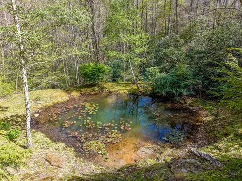 Other - 507 Angel Fields Rd, Franklin, NC 28734 photo 8 of 10