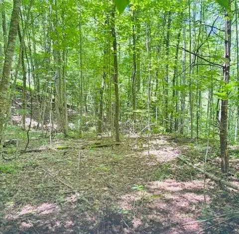 00 Macs Mountain Retreat Ln, Franklin, NC 28734