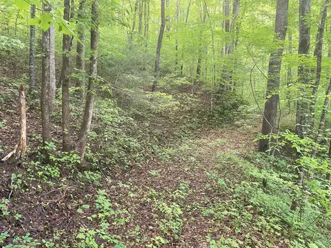 tbd Charles Sondheimer Rd, Franklin, NC 28734