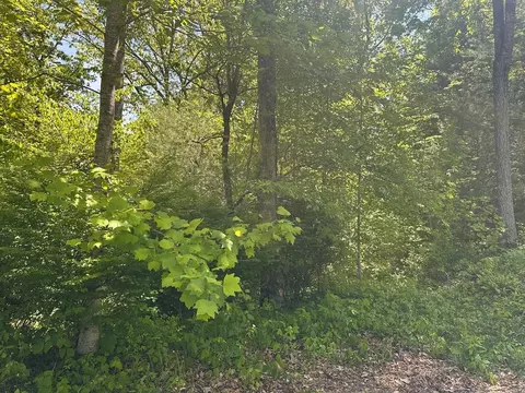 00 Lauren Ln, Franklin, NC 28734