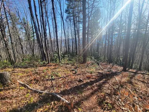 111 Digging Seng Trl #138, Waynesville, NC 28785