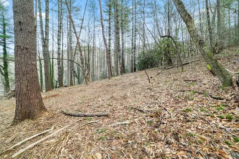 lot1 Craig Dr, Franklin, NC 28734