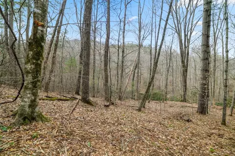 lot2 Craig Dr, Franklin, NC 28734
