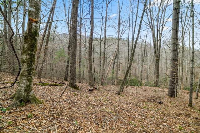 lot2 Craig Dr, Franklin, NC 28734