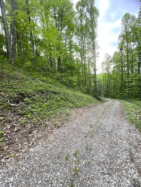 0 Bear Track Run, Bryson City, NC 28713