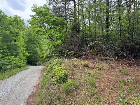 102 Hwy 19s Sky Ridge Dr, Bryson City, NC 28713