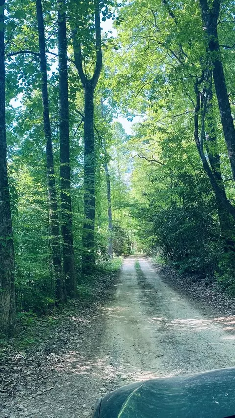 00 Cheek Circle Rd, Sylva, NC 28779 photo 7