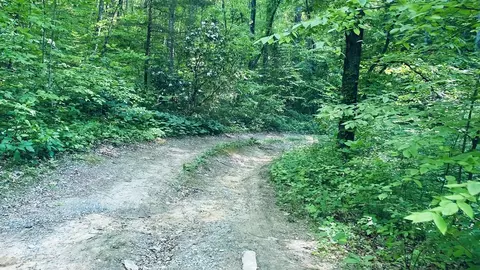 00 Cheek Circle Rd, Sylva, NC 28779 photo 5