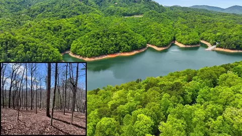 55 Fontana Loop S # -3, Bryson City, NC 28713