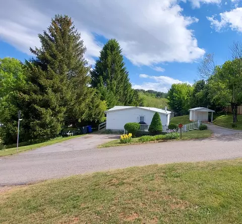 46 Larkspur Ln, Canton, NC 28716