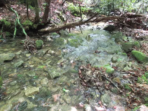 00 Hickory Gap Rd, Otto, NC 28763
