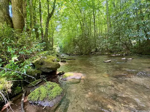 lot48 Alarka Rd, Bryson City, NC 28713
