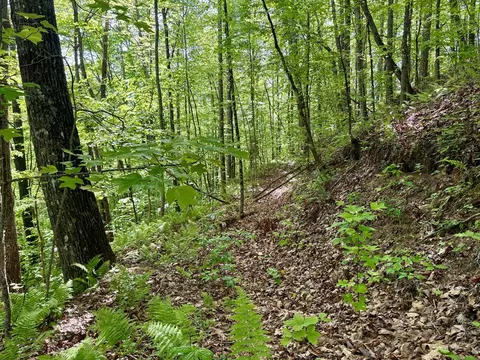 lot48 Moonlight Dr, Bryson City, NC 28713