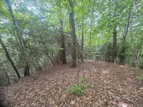 tbd Tellico Rd, Franklin, NC 28734
