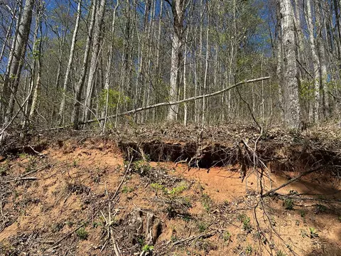 0 Forest Rose Ln, Sylva, NC 28779 photo 7