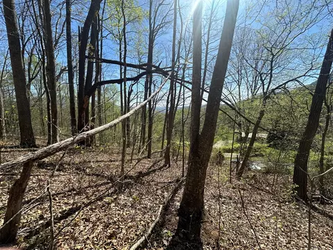 0 Forest Rose Ln, Sylva, NC 28779 photo 4