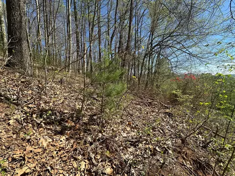 0 Forest Rose Ln, Sylva, NC 28779 photo 6