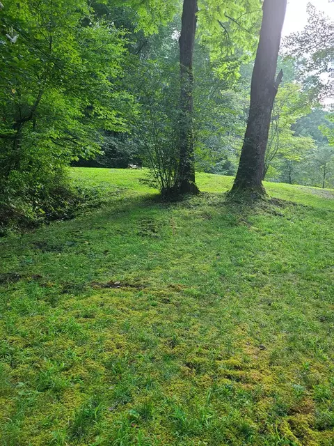 000 Red Wolf Run, Franklin, NC 28734