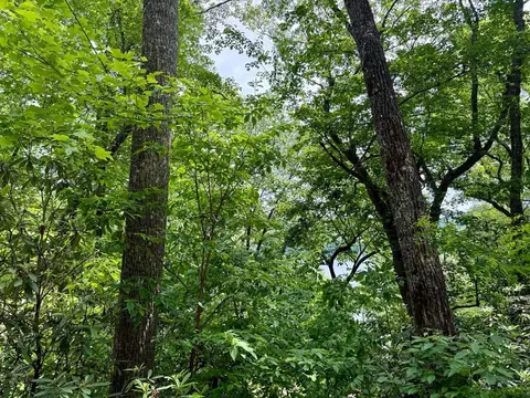 0 Via Del Lago, Cashiers, NC 28734