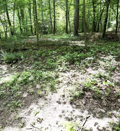 lot10 Hide-a-way Ln, Franklin, NC 28734