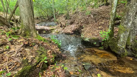 lot2 Rainbow Falls Rd, Franklin, NC 28734 photo 21