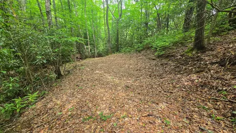 lot2 Rainbow Falls Rd, Franklin, NC 28734 photo 15