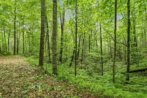 lot2 Rainbow Falls Rd, Franklin, NC 28734 photo 14