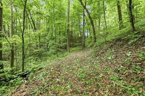 lot2 Rainbow Falls Rd, Franklin, NC 28734 photo 13