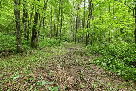 lot2 Rainbow Falls Rd, Franklin, NC 28734 photo 11