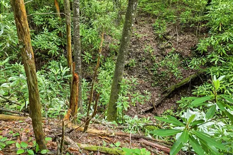 lot2 Rainbow Falls Rd, Franklin, NC 28734 photo 7