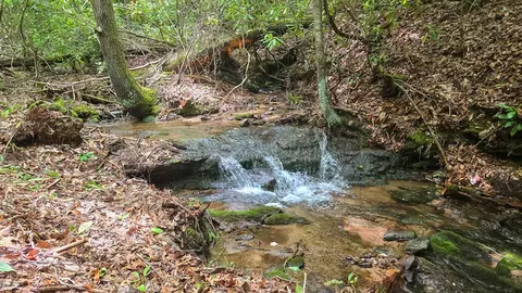 lot2 Rainbow Falls Rd, Franklin, NC 28734 photo 18